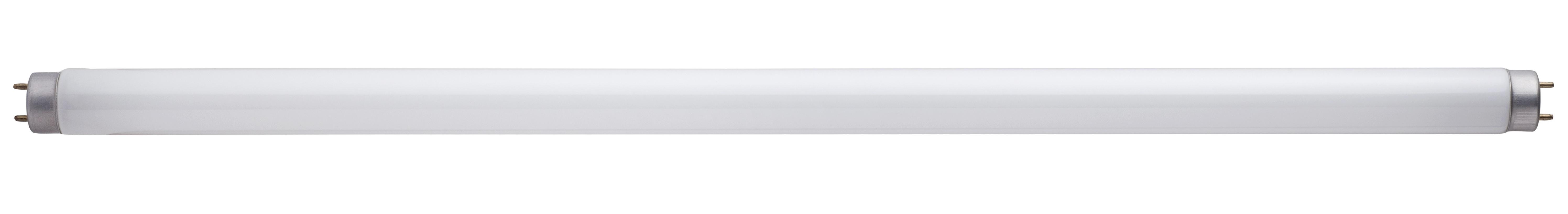 common type of fluorescent bulb