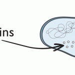 Graphic of how Hubbell Lighting's SpectraClean UV lighting works