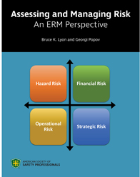 ASSP risk management 