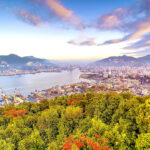 Fujitsu sustainability transformation crop