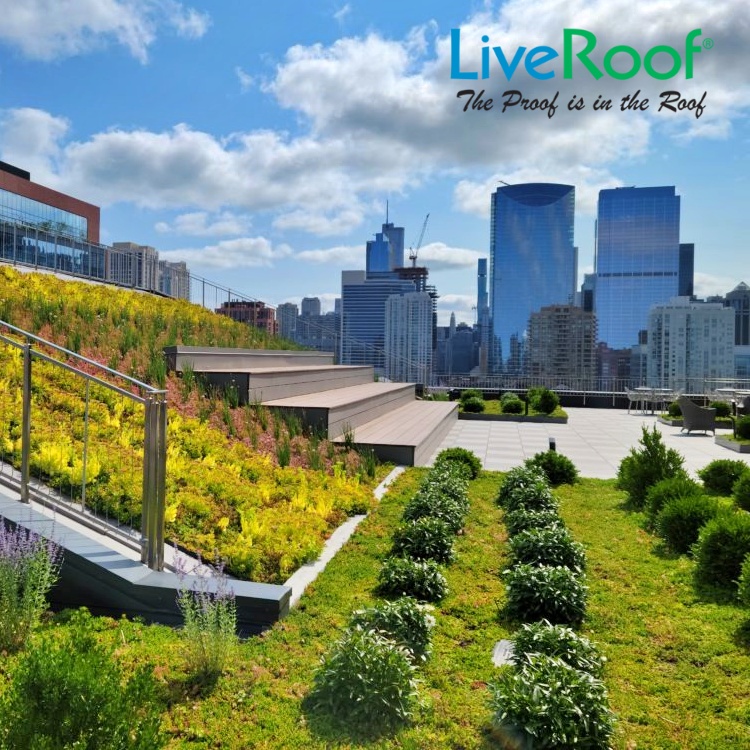 LiveRoof green roof